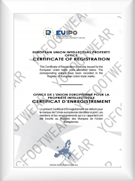 certification8