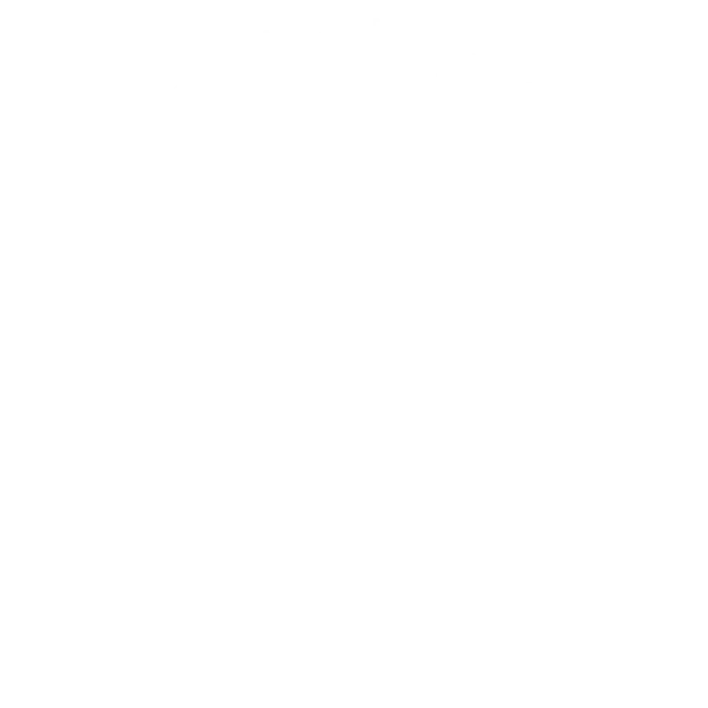 iso_9001_white_transparent