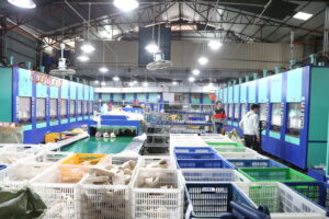 PFAS-Free Slipper raw material and certified manufacturing process.